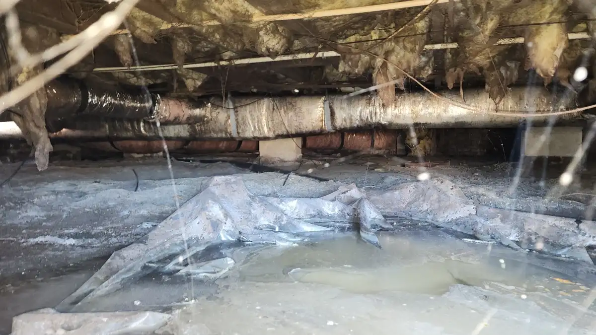 Wet crawl space showing moisture damage and mold risk in a Raleigh NC home