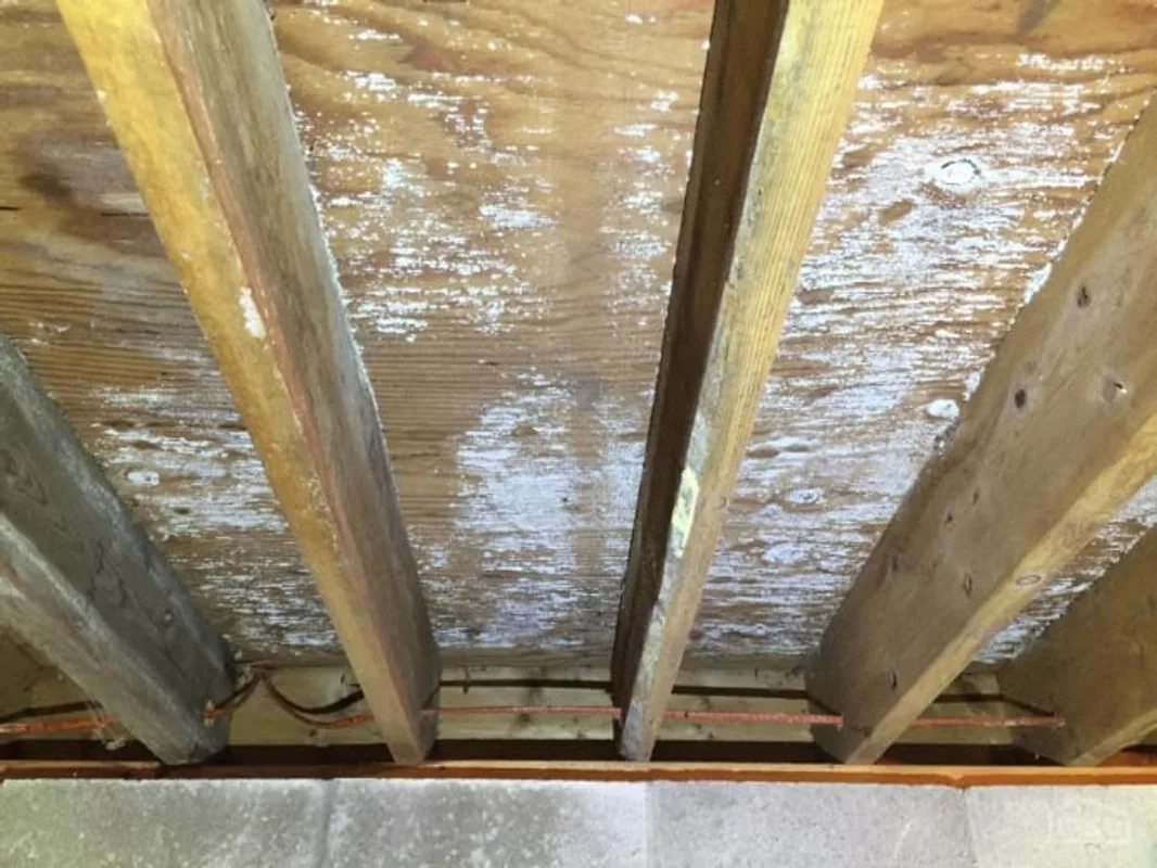 Mold growing on crawl space floor joists and subfloor sheathing in a Raleigh NC home, caused by high humidity from outdoor air infiltration