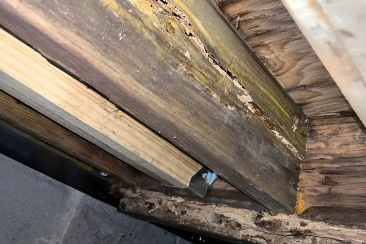 Close-up of a decayed, rotting floor joist in a crawl space, with fungal decay damage visible next to a newer sistered support joist