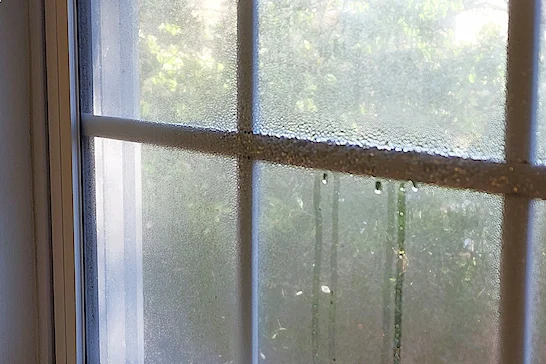Condensation on window caused by high indoor humidity in a Raleigh NC home